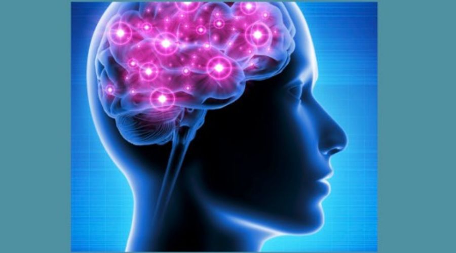Clicca per accedere all'articolo SOROPTIMIST INTERNATIONAL - CLUB CHIETI - Evento " Malattie cardiovascolari, neuro degenerative e tumori: alberi diversi ma radici comuni "
